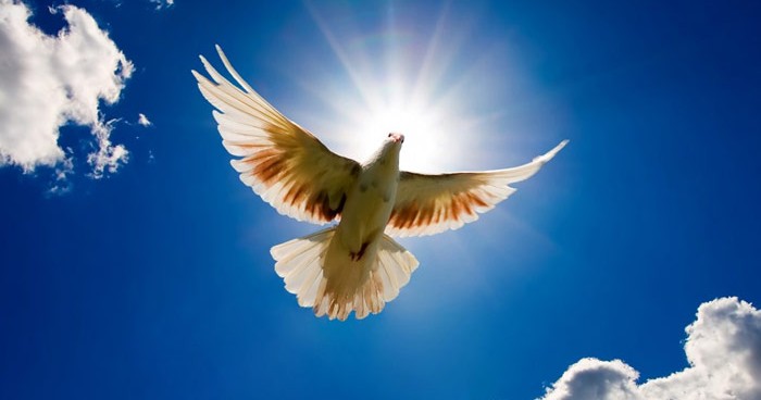 2025 Buona Pasqua